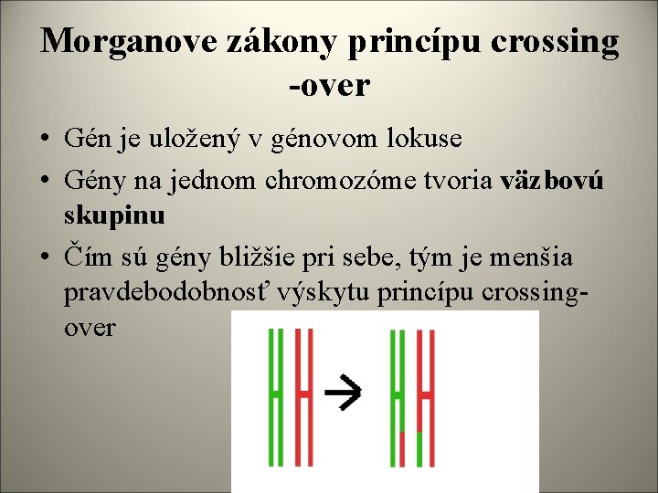 Chromozmy Peter Urec 3 L O S Chromozmy