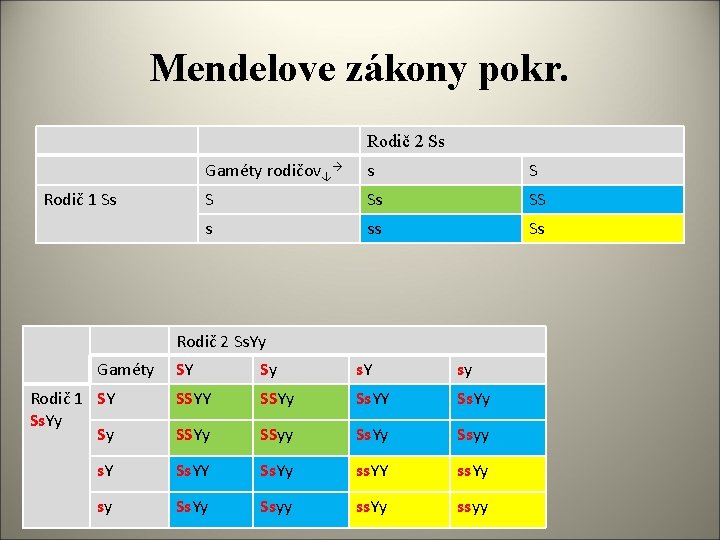 Chromozmy Peter Urec 3 L O S Chromozmy