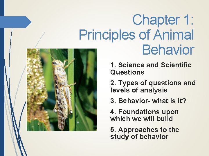 Chapter 1 Principles of Animal Behavior 1 Science