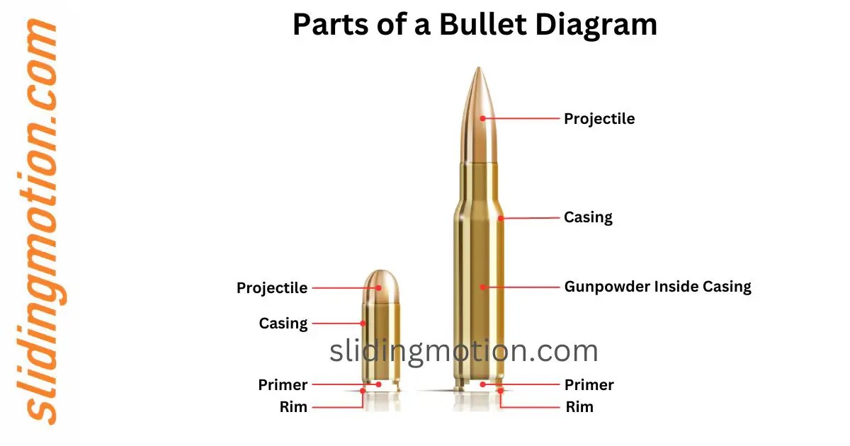 5 Parts of a Bullet: Exploring the anatomy with Names & Diagram