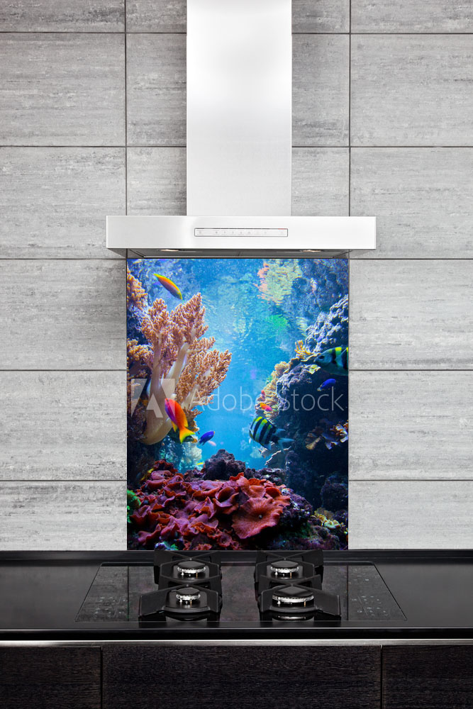 PhotoSplash™ Kitchen SplashBack Sea Reef • Sligo Glass