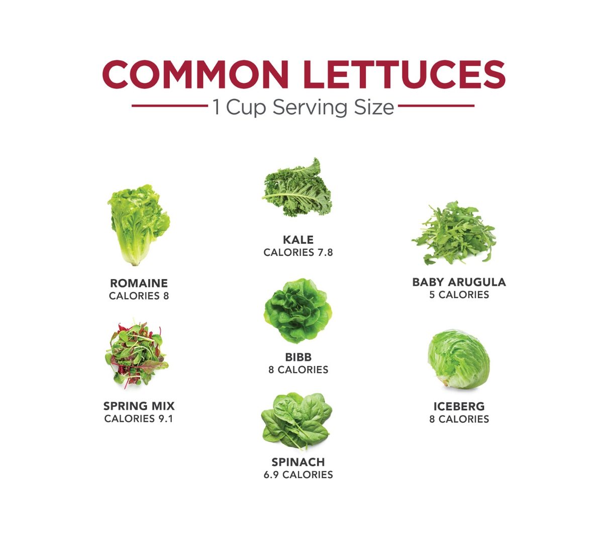 How to Build a Salad SlimFast