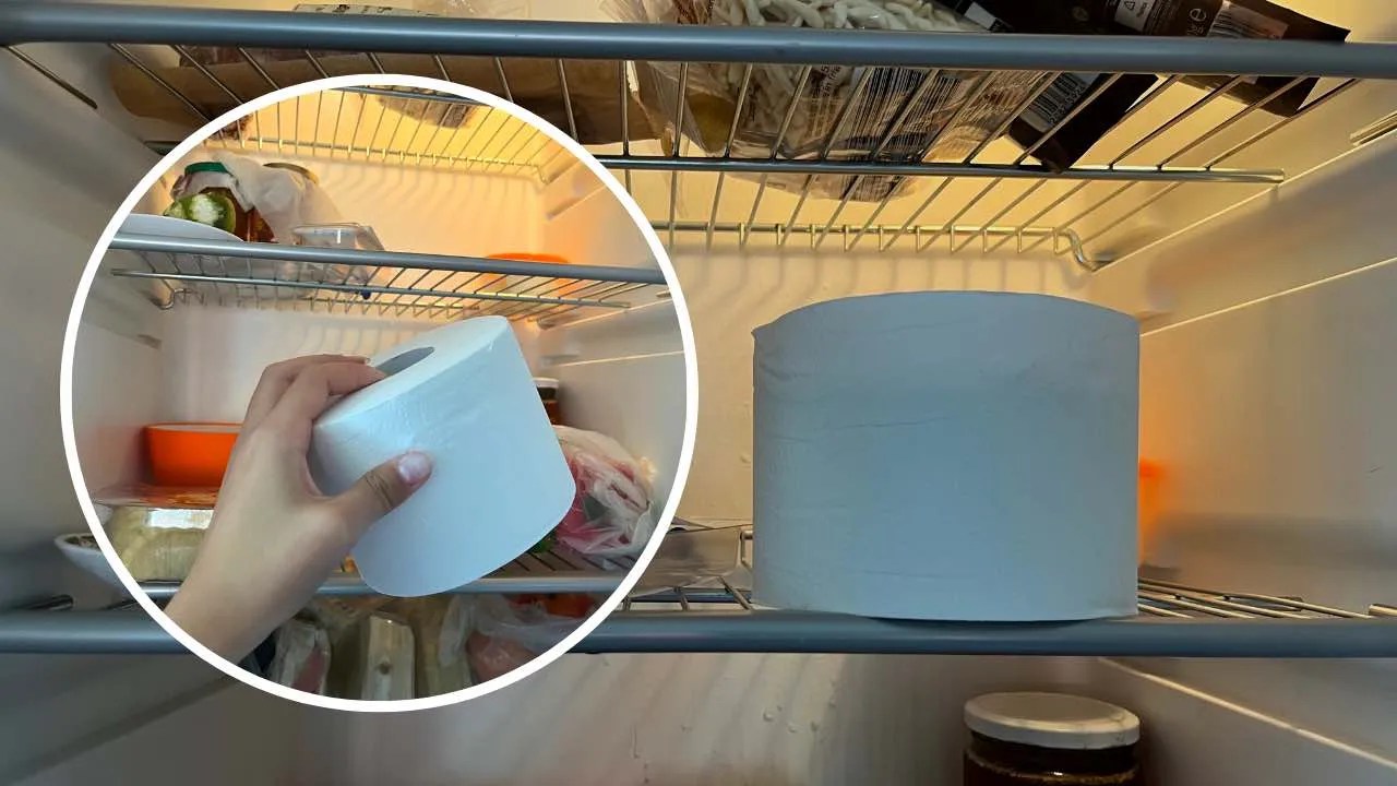 Home Hacks Put toilet paper in the fridge? This solves a big problem