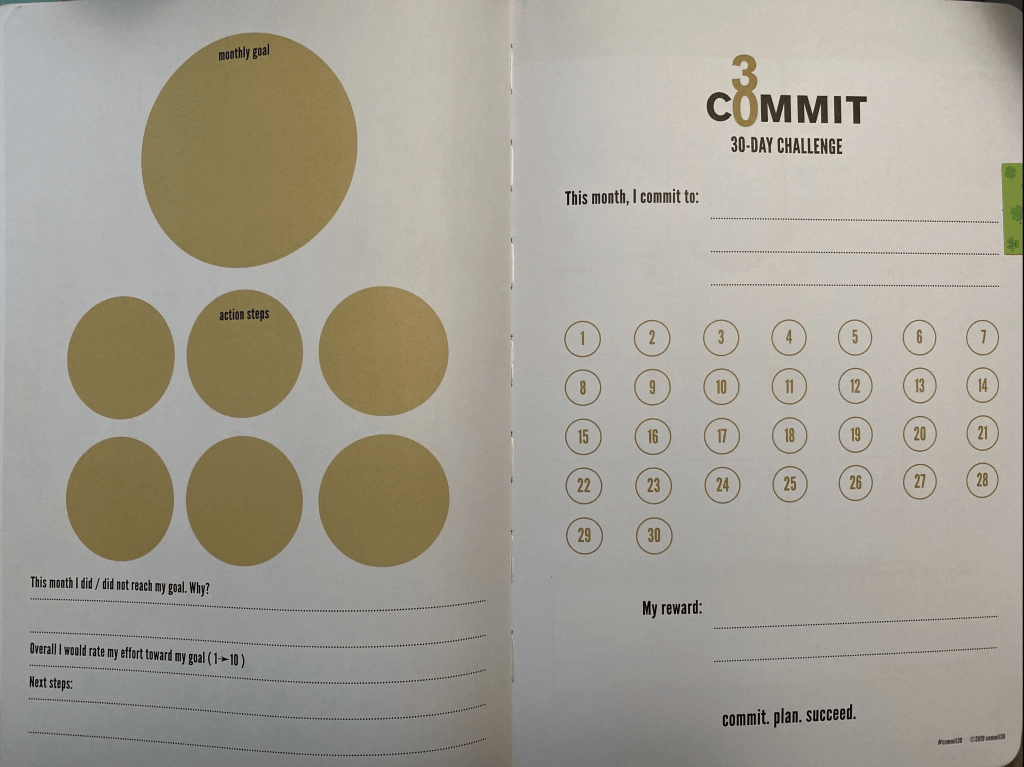 Commit 30 Planner Review Grounding Fitness