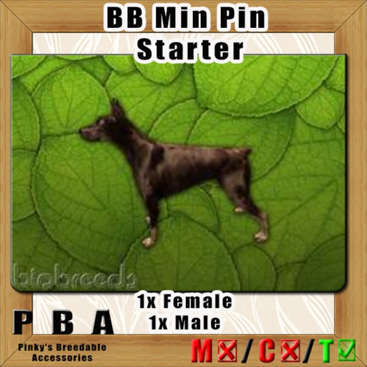 Second Life Marketplace BB Min Pin Pair Starter