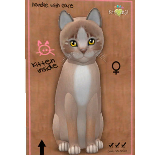 Second Life Marketplace KittyCatS Box New Born Kitten
