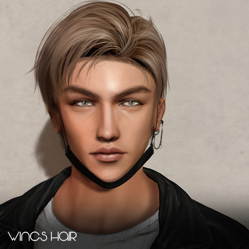 Second Life Marketplace WINGSHAIRON1220 Color N02 (package)