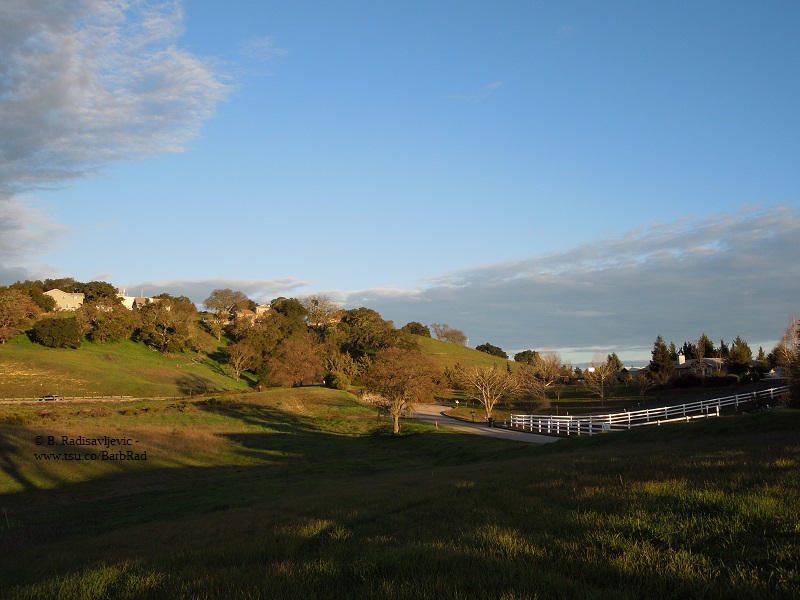 Near Bennett Way in Templeton