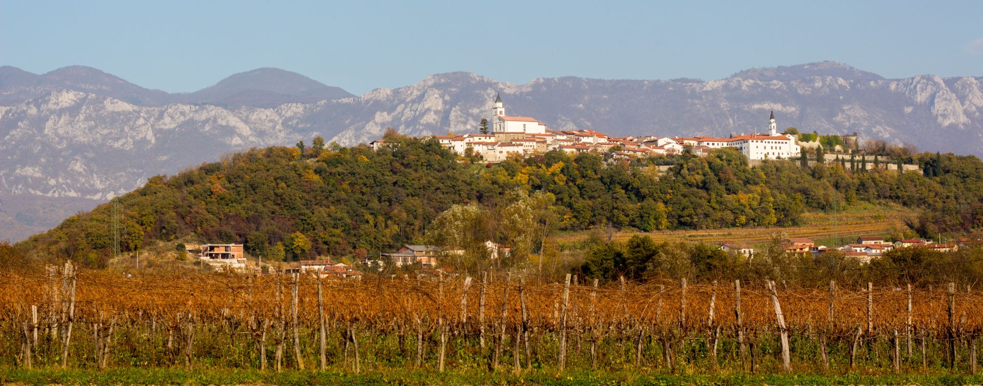 The Emerald Land Slocally