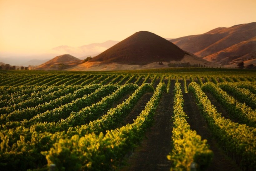 The Core of the Coast Edna Valley Classic Wineries SLO Coast Wine