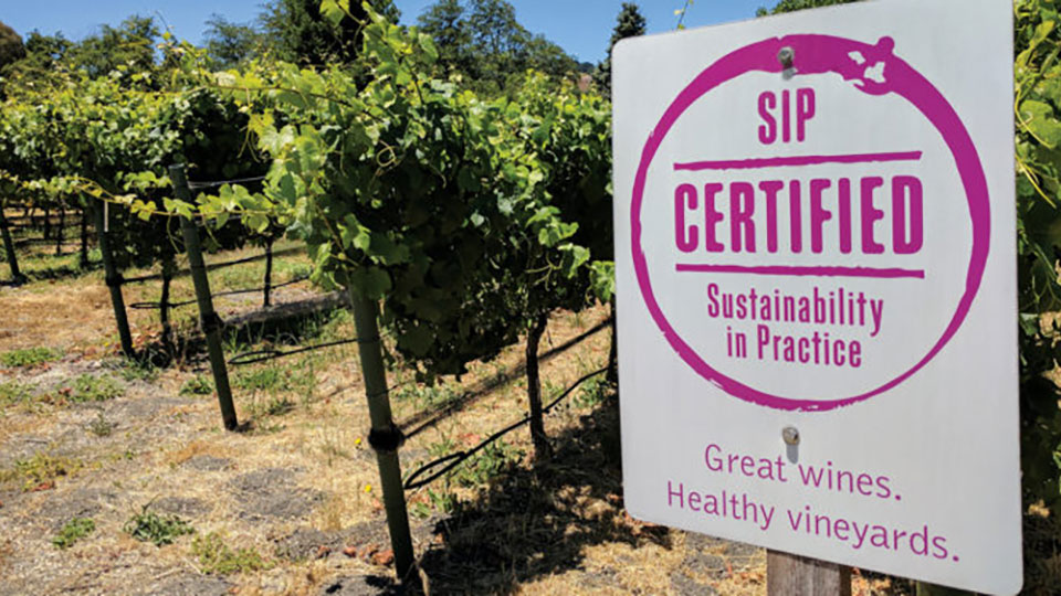 Sustainable Wines on San Luis Obispo Coast SLO Coast Wine