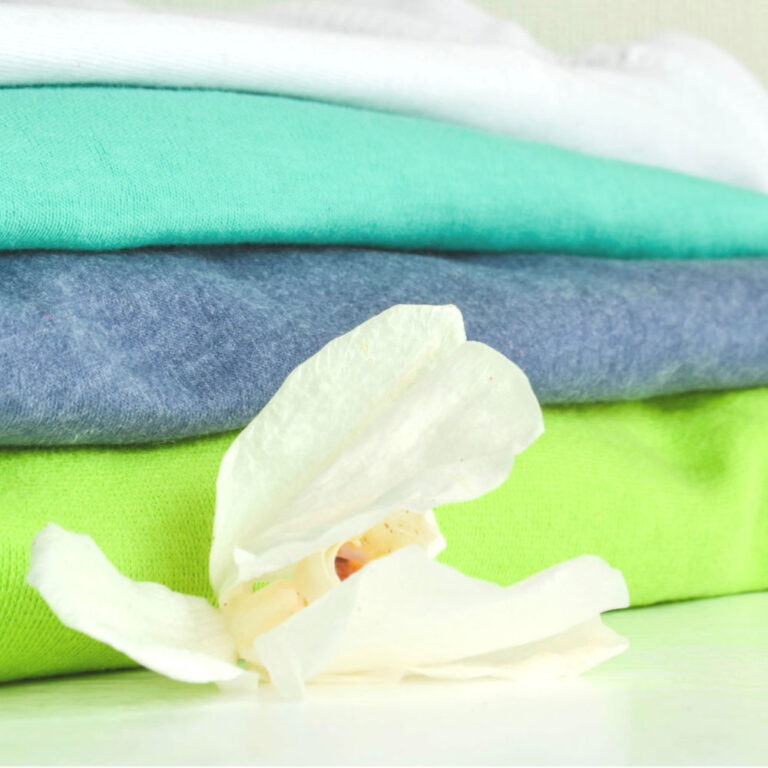 How To Prevent Moths