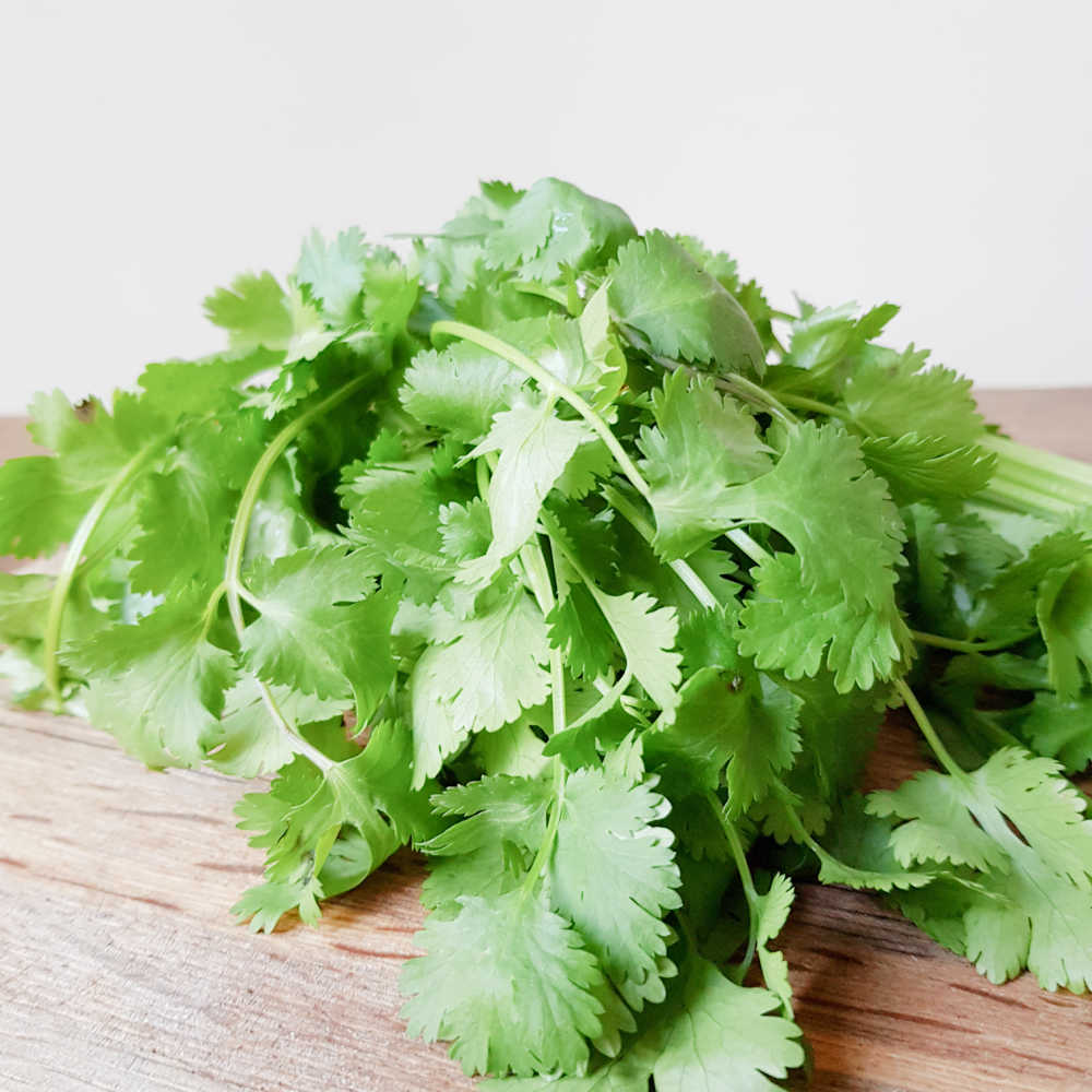 How To Grow Parsley Quickly From Cuttings And Seeds