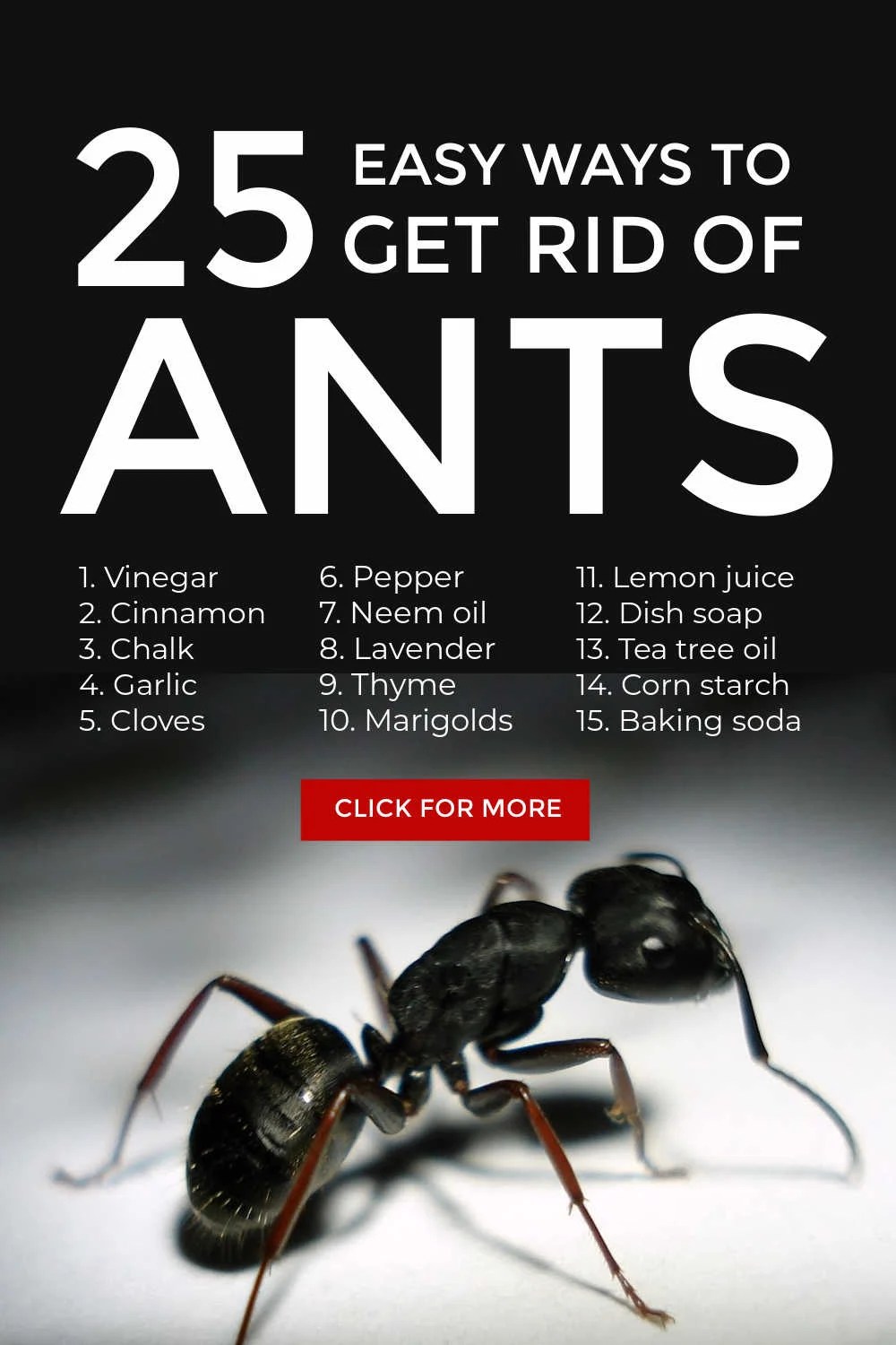 Get Rid Of Ants Naturally