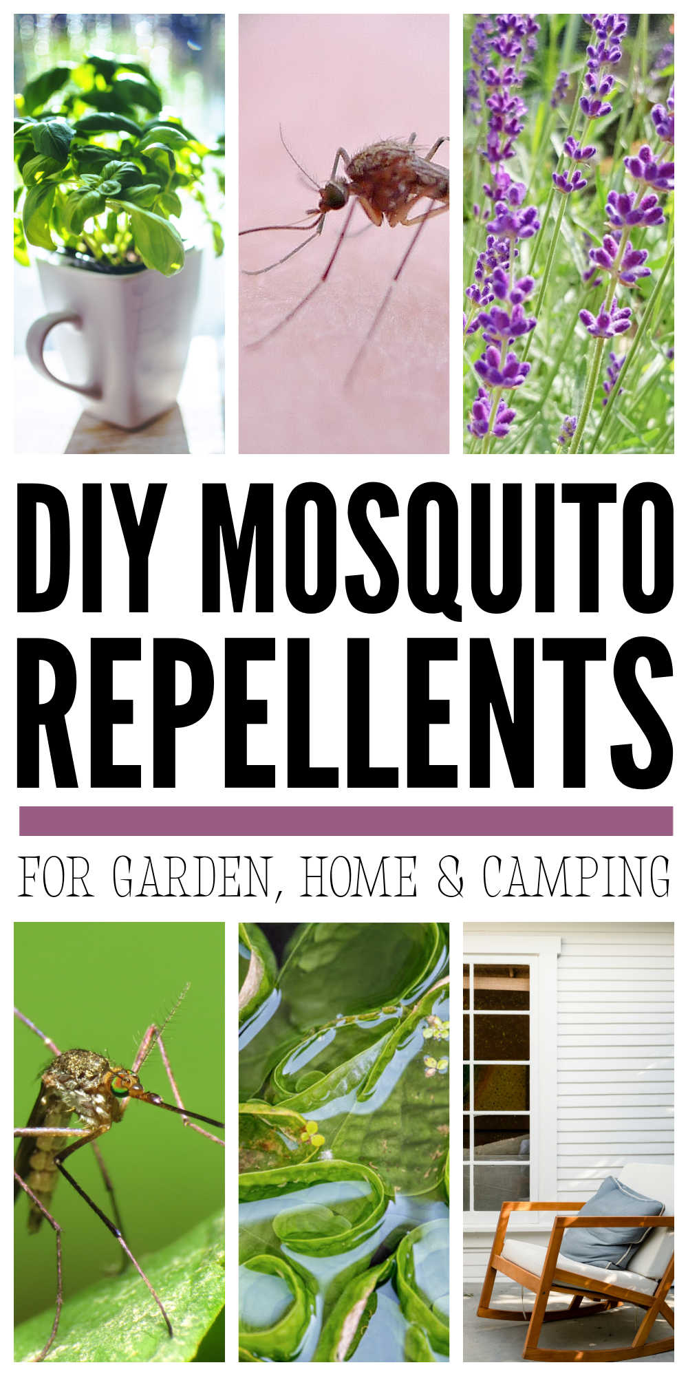 Natural Mosquito Repellents For The Garden & Camping
