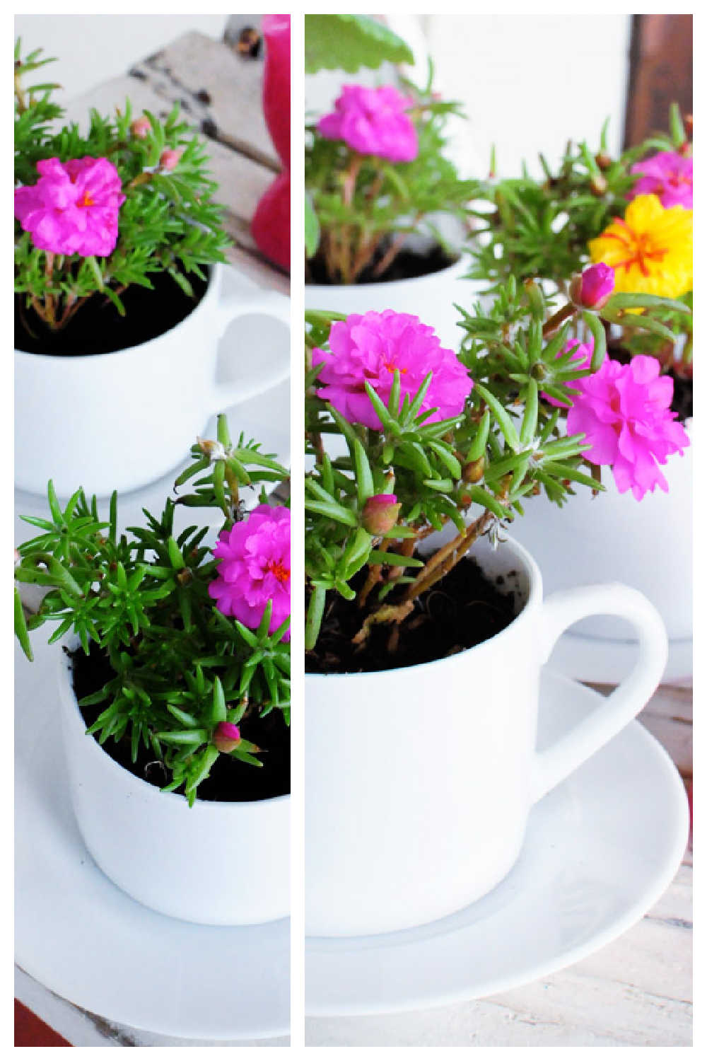 Inexpensive DIY Garden Gifts