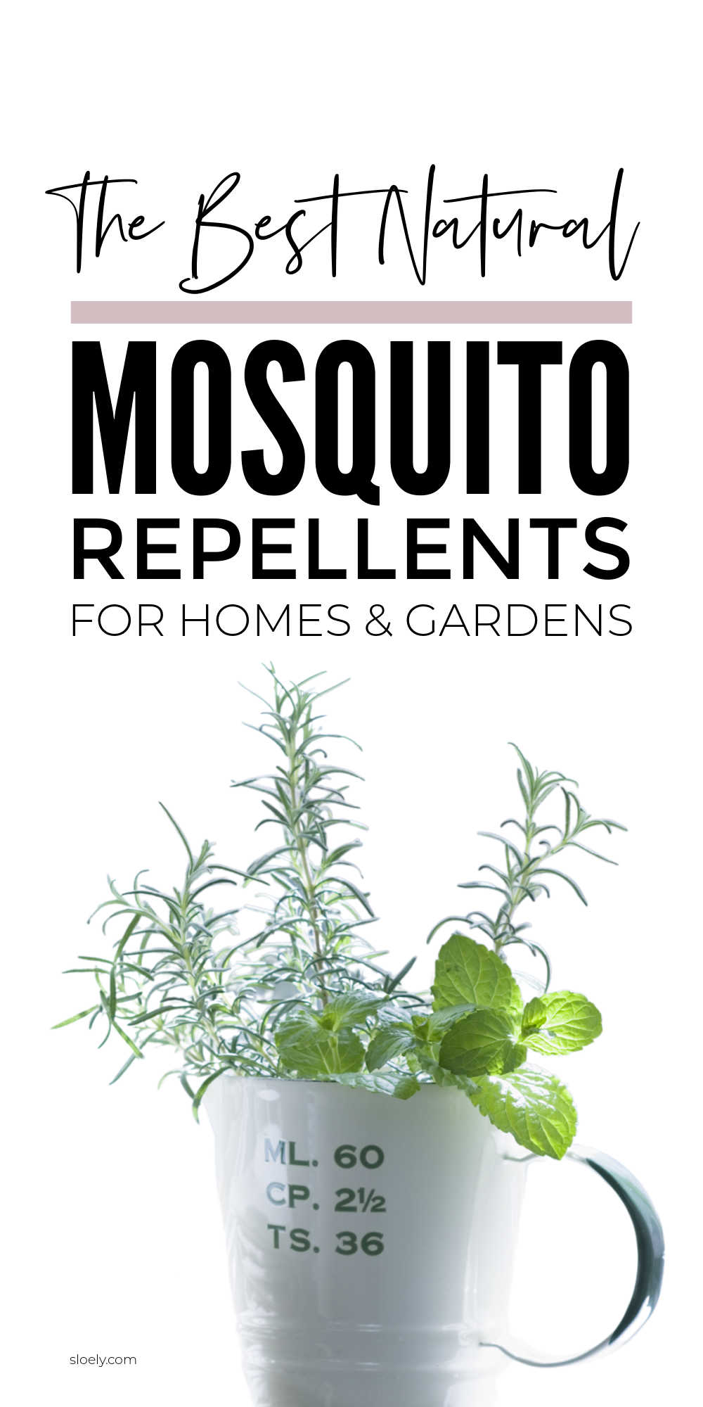 Natural Mosquito Repellents For The Garden & Camping