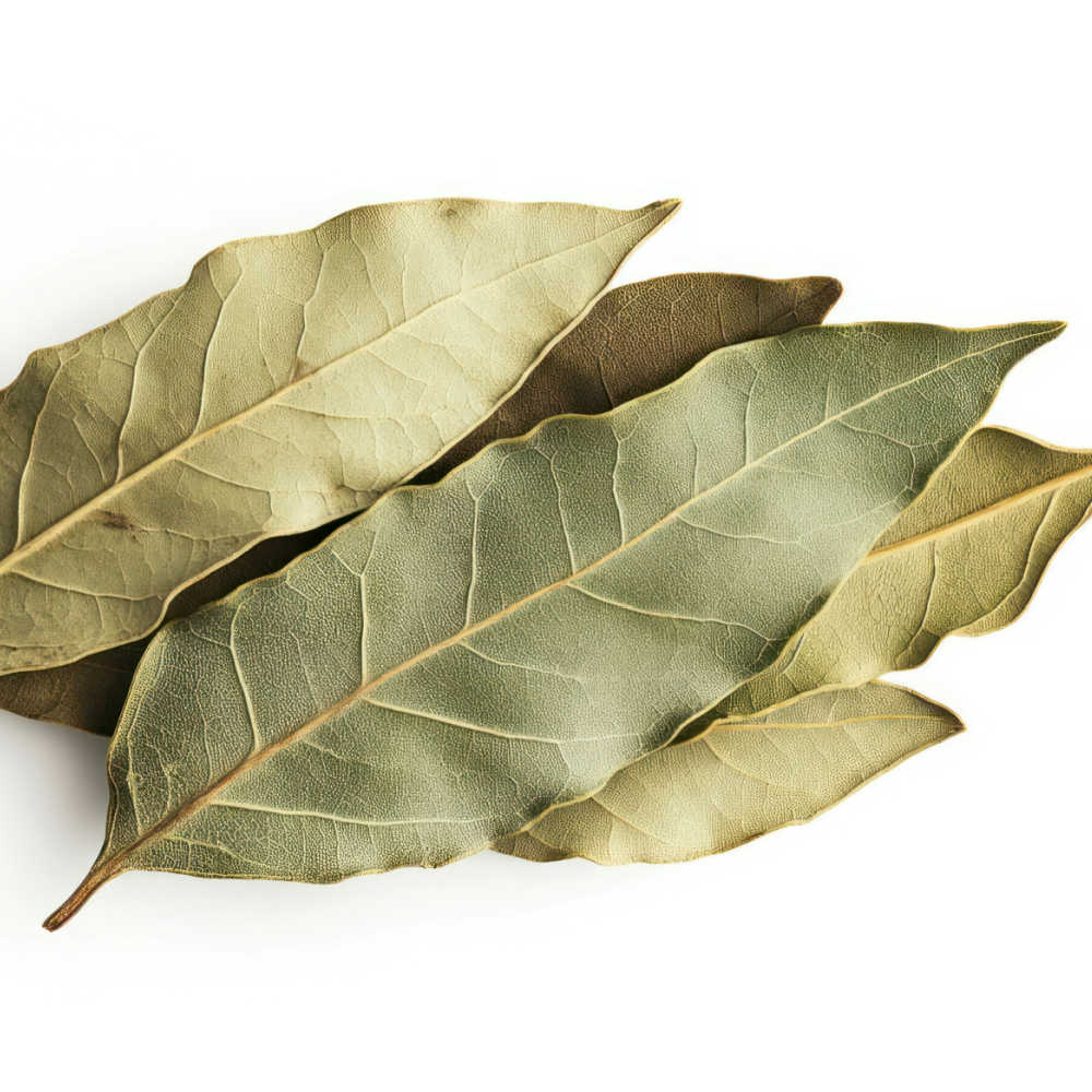 Natural DIY Pest Control Methods