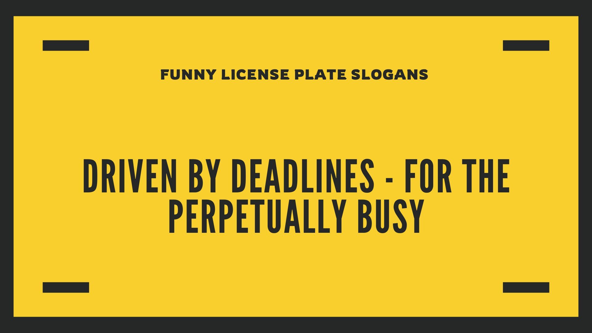 350+ Slogans for License Plate (Unpacking Their Identities)