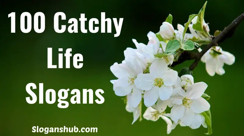 catchy phrases about life 100 Catchy Life Slogans