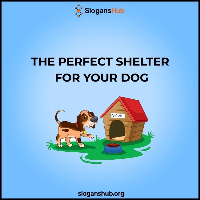 420 Catchy Dog kennel Slogans & Catchy Doggy Daycare Slogans