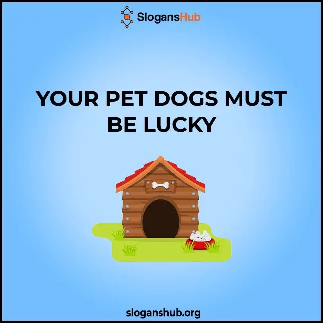 420 Catchy Dog kennel Slogans & Catchy Doggy Daycare Slogans
