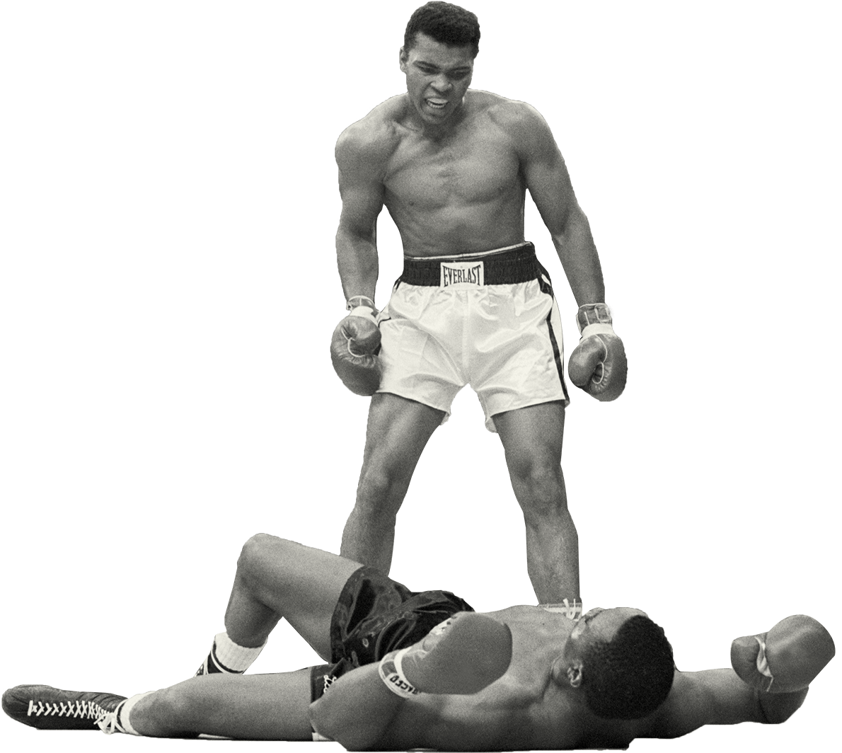 Boxning