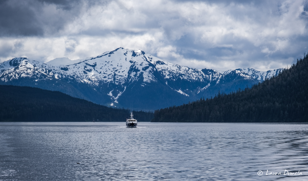 Day 14 Flotilla to Alaska Wrangell to Petersburg Slowboat