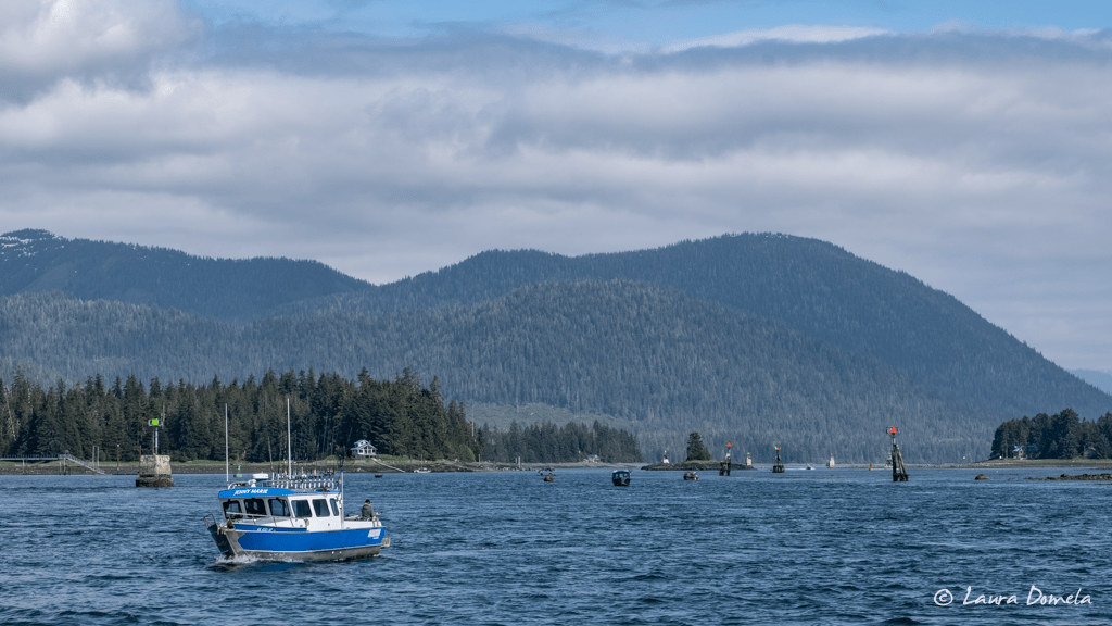 Day 21 Flotilla to Alaska Wrangell to Petersburg Slowboat