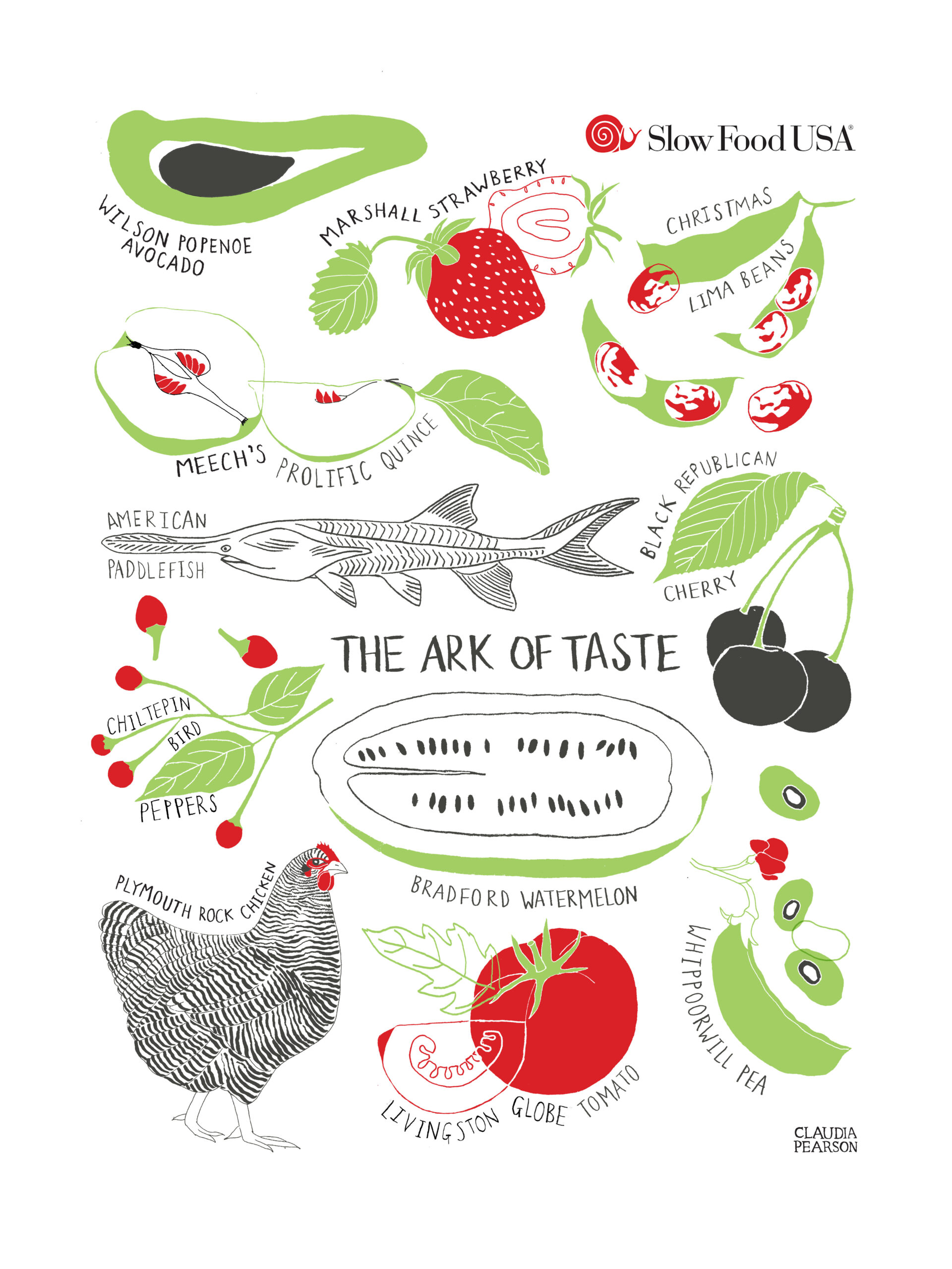 Ark of Taste tea towel • Slow Food USA