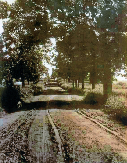 BROOKSIDE AVENUE St Louis Park Historical Society