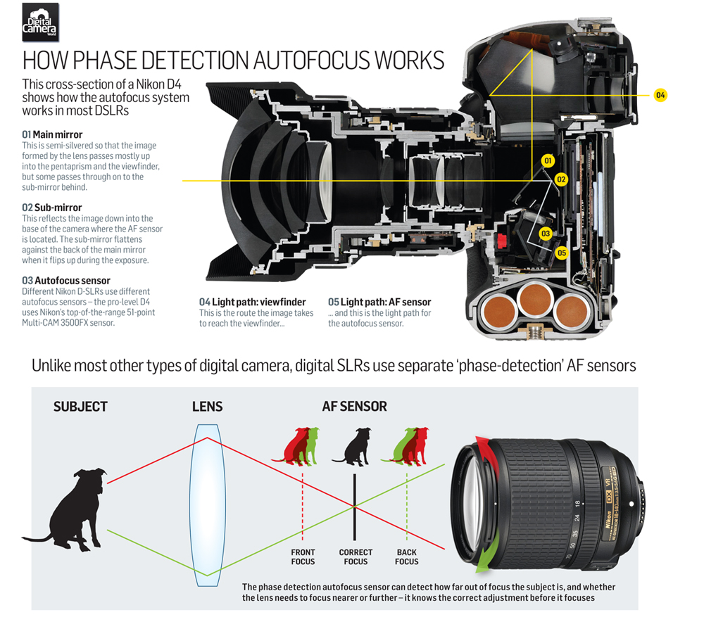 How does your DSLR Auto Focus Actually Work?