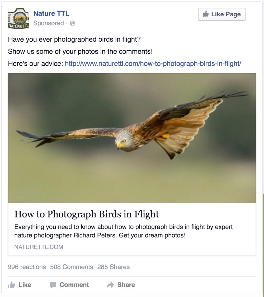 How to Advertise Your Photography Business on Facebook