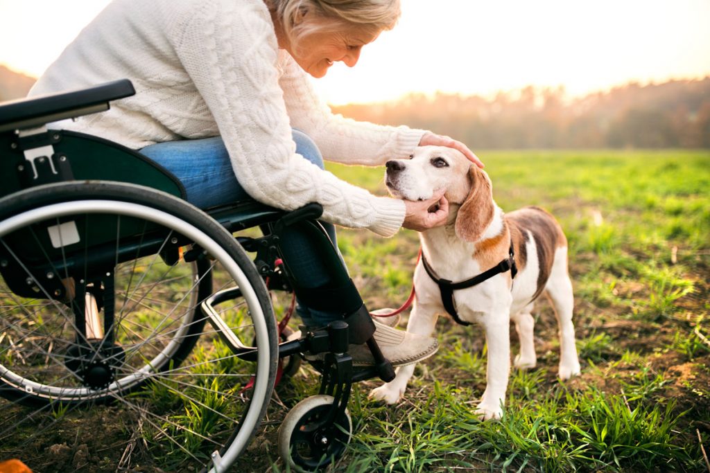 Pets In Assisted Living SLS Communities