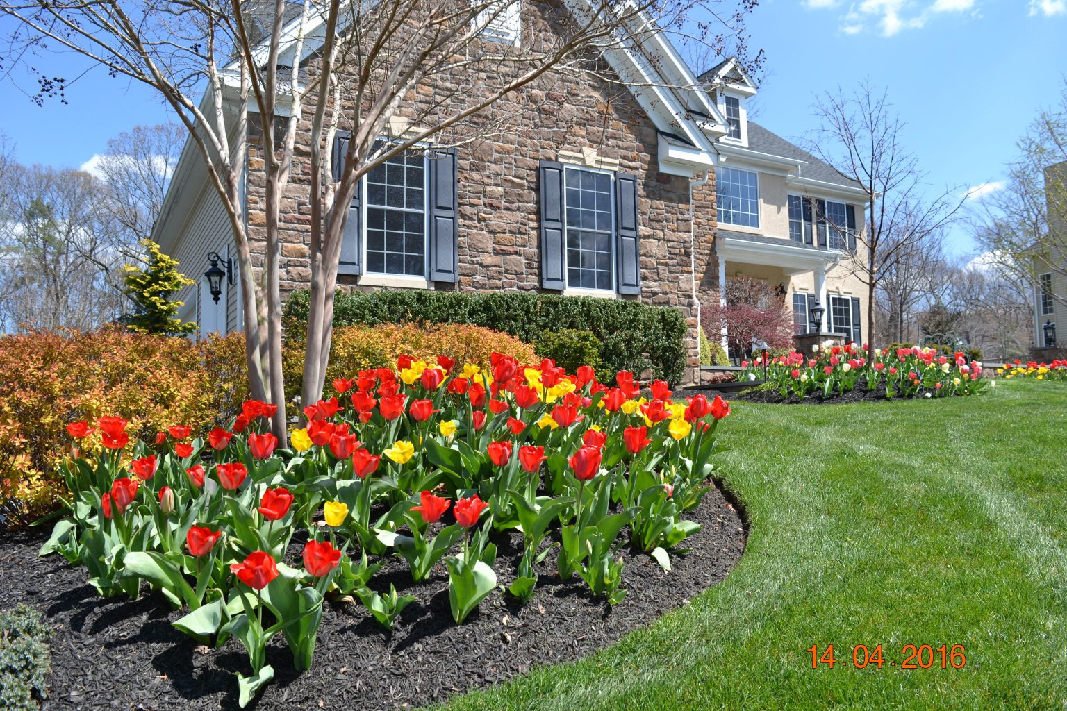 Landscapes SLS Landscaping NJ Lumberton