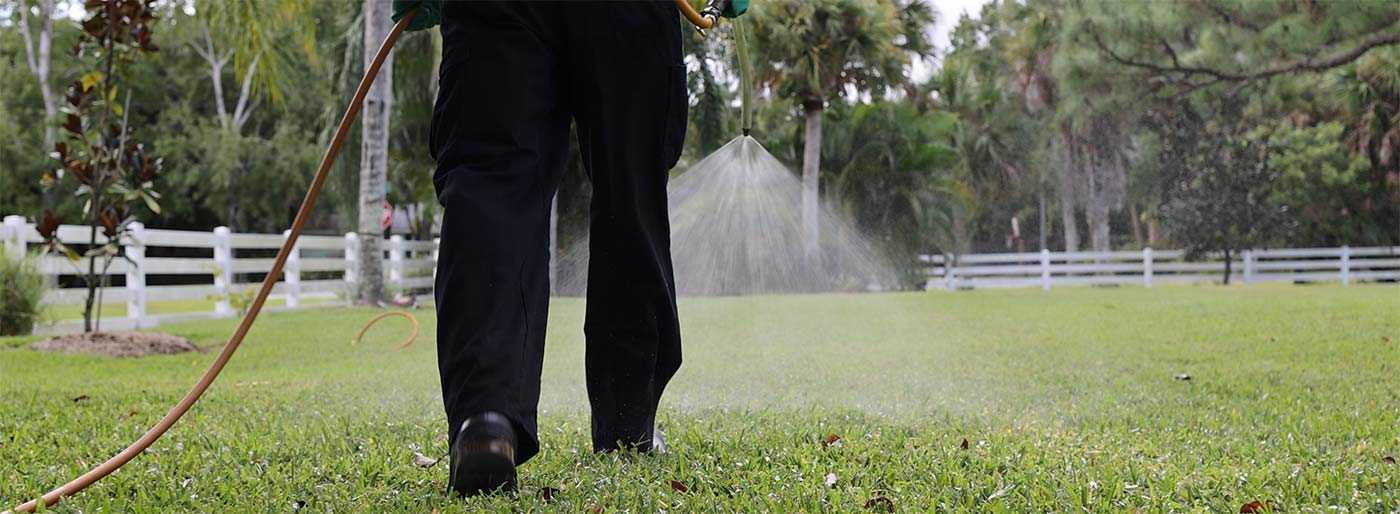 Lawn Care Services SlugABug Pest Control