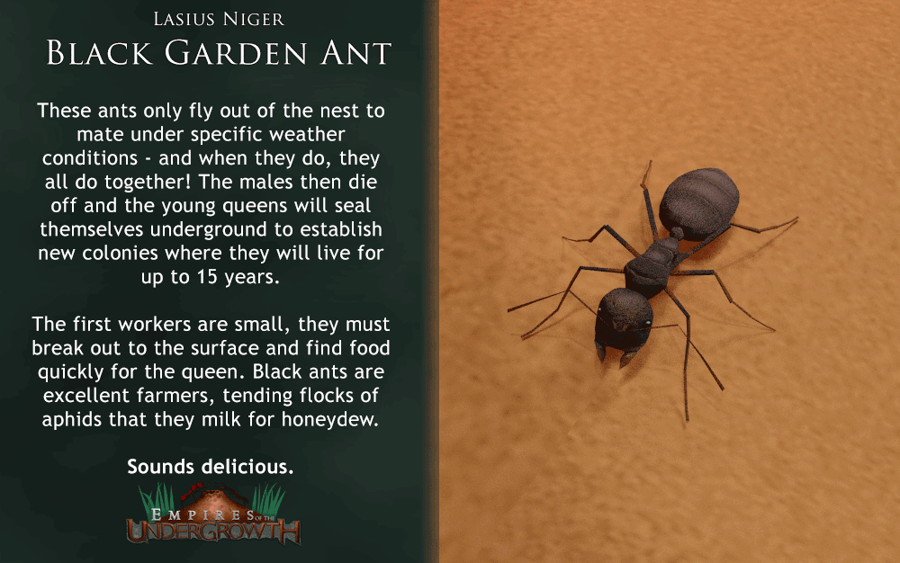 Empires of the Undergrowth Slug Disco Page 3