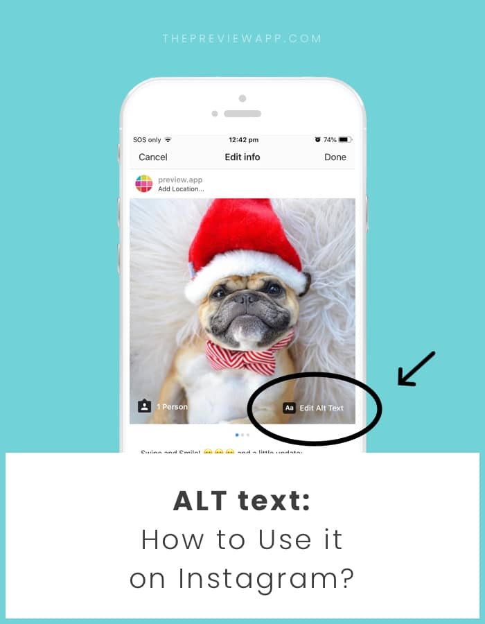ALT text on Instagram Photos How to use it Like a Professional?
