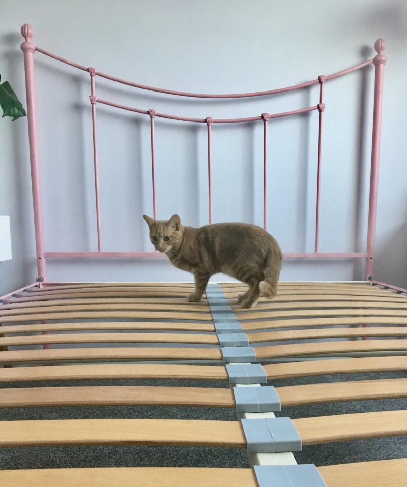 REVIEW Simba Hybrid mattress and Simba discount code Slummy single mummy