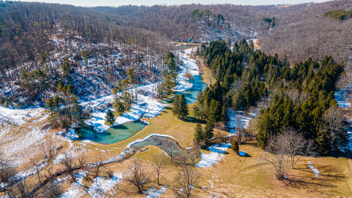 FOUR HOMES ON NEARLY 40 SCENIC ACRES! Sluss Realty Featured Properties