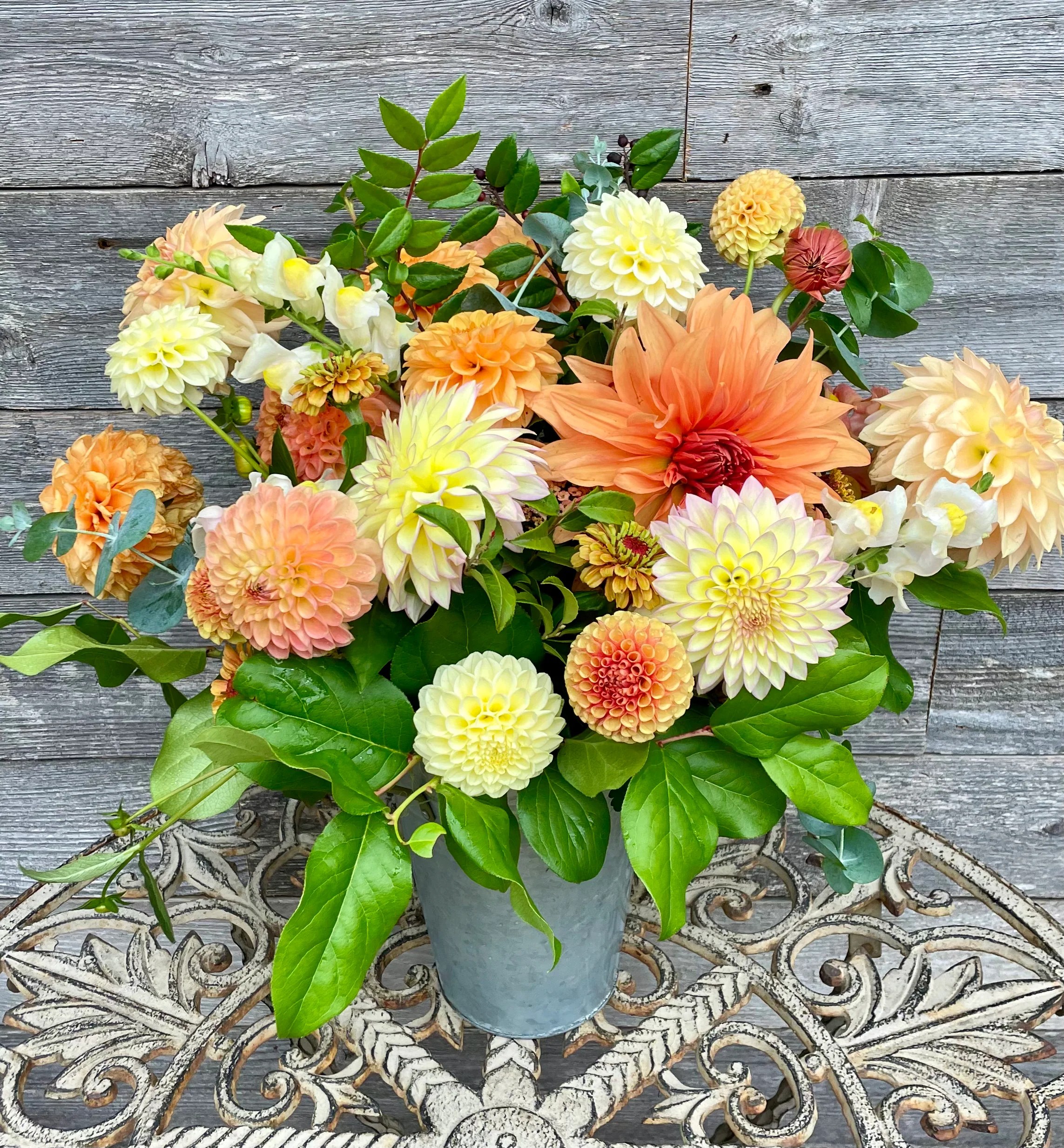 2024 Salmon Sunset Collection LIMIT 1 PER PERSON Sly Hill Flowers