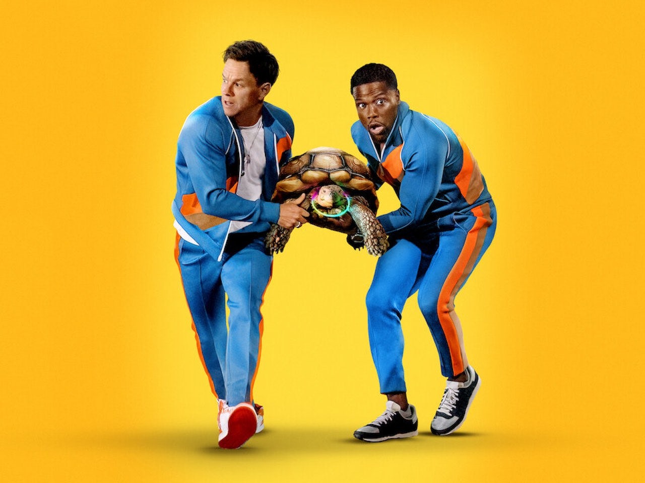 In Full Netflix UK's mostwatched TV shows and films (Aug 2228