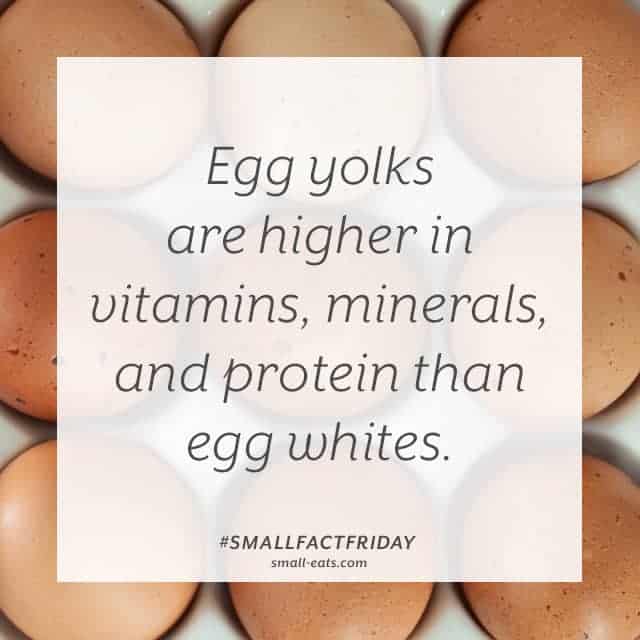 Small Fact Friday Eggs Yolks vs Egg Whites small eats