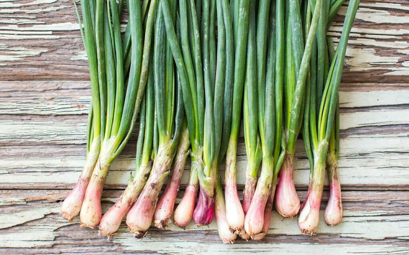 Shallots, Baby bunch Small Axe Farm