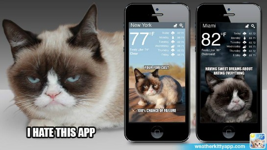Grumpy Cat Weather App Delivers Weather Forecasts to Your Phone Small