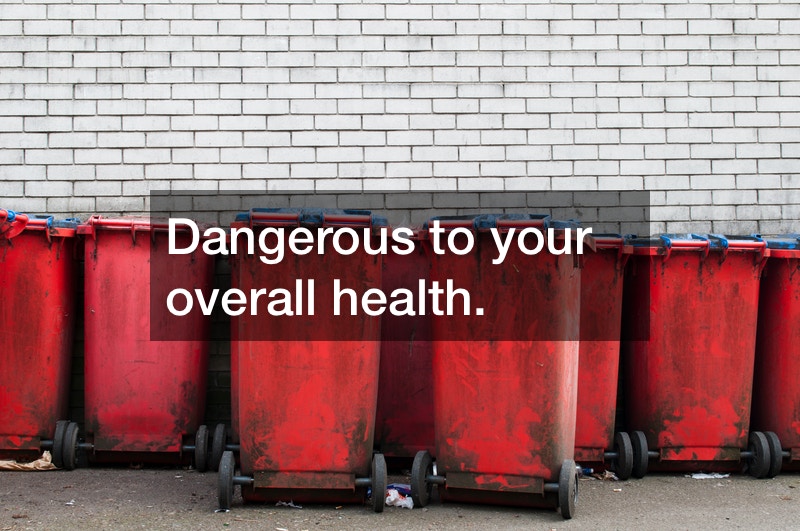 Benefits of Onsite Dumpster Rental Including Junk Removal and More