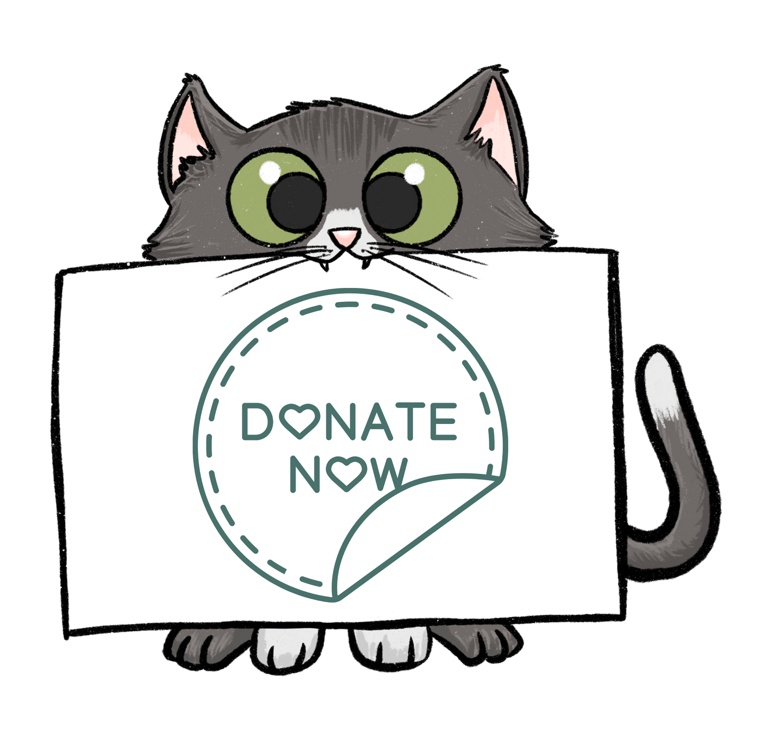 Small Wild Cat Conservation Foundation