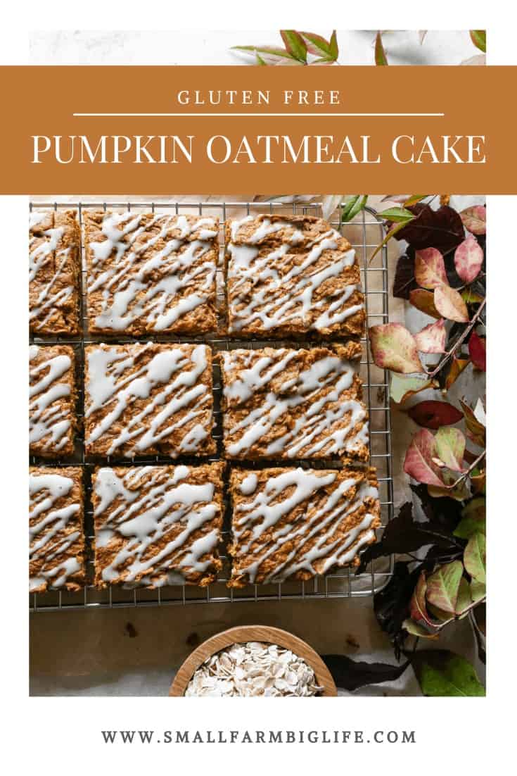 Gluten Free Pumpkin Oatmeal Cake Small Farm Big Life