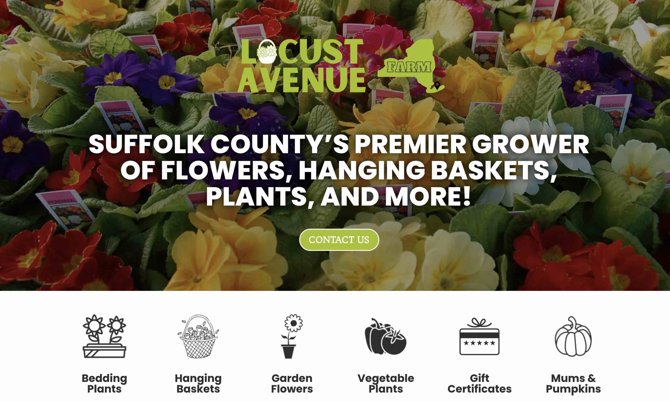 Farm site Designs Farm sites & Marketing Support for Farm