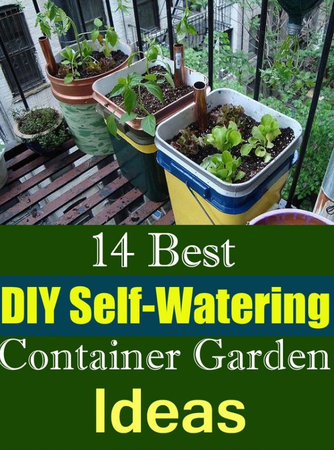 14 Best DIY SelfWatering Container Garden Ideas